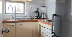 Departamento céntrico frente al Boulevard