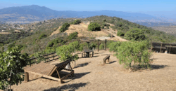 Parcela condominio Los Peumos, Fuerte Aguayo, Concón