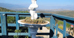 Parcela condominio Los Peumos, Fuerte Aguayo, Concón