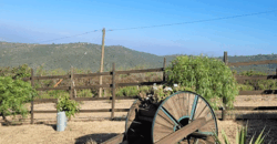 Parcela condominio Los Peumos, Fuerte Aguayo, Concón