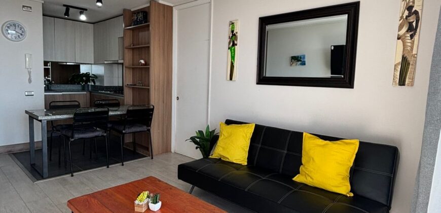 Venta detpo costa de montemar , pimpinelas Concón
