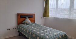 Detpo en arriendo Gregorio Marañon. Detpo en arriendo Gregorio Marañon.