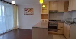 Detpo en arriendo Gregorio Marañon. Detpo en arriendo Gregorio Marañon.