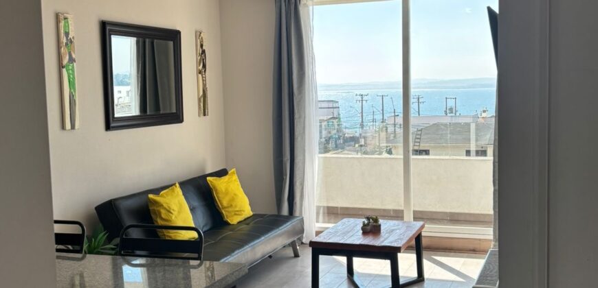 Venta detpo costa de montemar , pimpinelas Concón