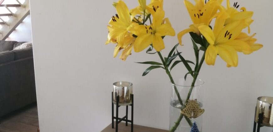 Venta departamento en Miraflores bajo