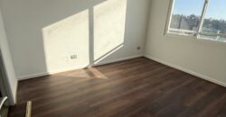 ARRIENDO DETPO VIÑA DEL MAR VIANA