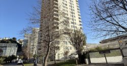 ARRIENDO DETPO VIÑA DEL MAR VIANA