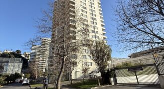 ARRIENDO DETPO VIÑA DEL MAR VIANA