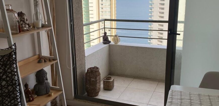 ARRIENDO DETPO CONCÓN COSTA DE MONTEMAR